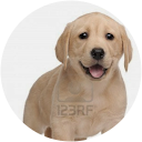 Morgane SAIDOUN profile picture