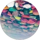 A Si profile picture