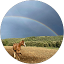 sonsoles letang profile picture