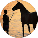 Mike Koutouzos profile picture