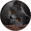Melanie R. profile picture