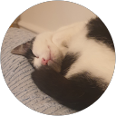 Spoiled Beans profile picture